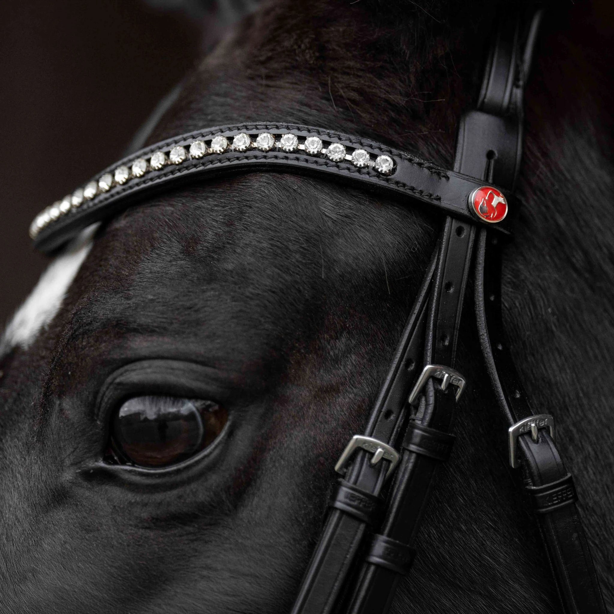 Kieffer Comfort Paris Snaffle Bridle product photo