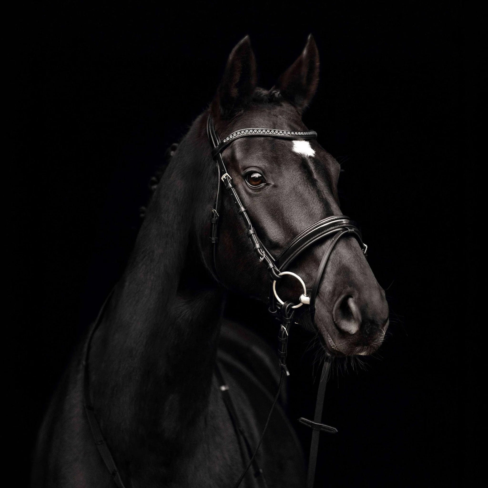 Kieffer Comfort Paris Snaffle Bridle product photo
