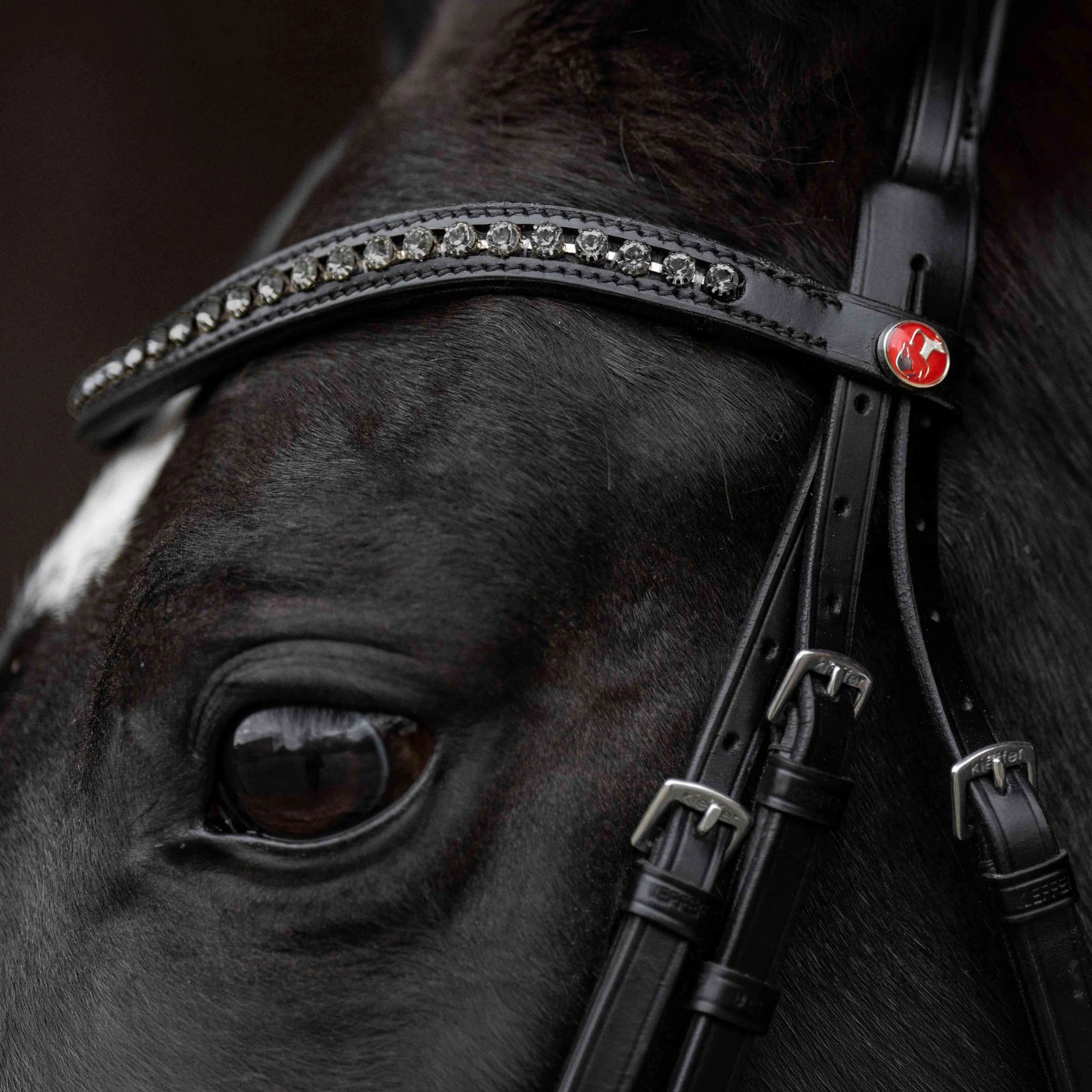 Kieffer Comfort Paris Snaffle Bridle product photo