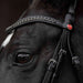 Kieffer Comfort Paris Snaffle Bridle product photo