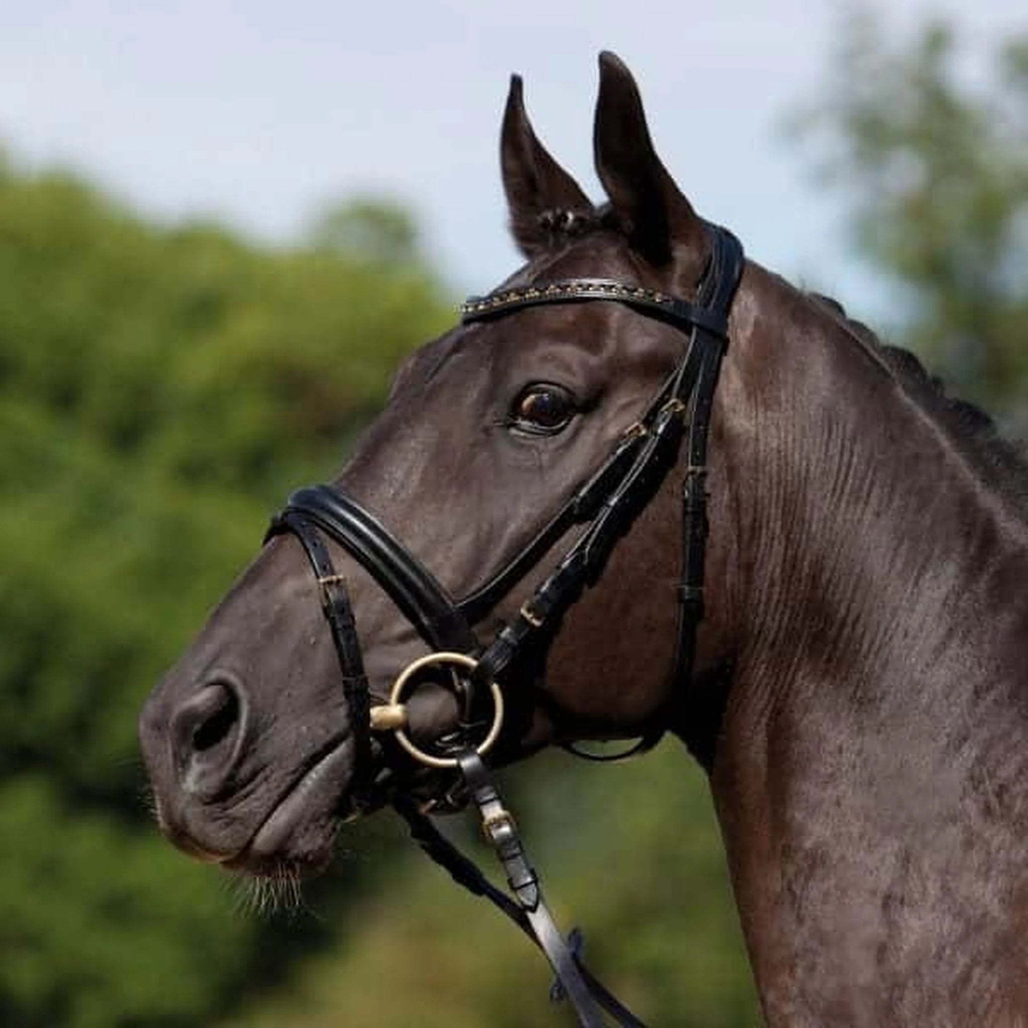 Kieffer Comfort Verona Snaffle Bridle product photo