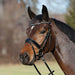 Kieffer Comfort Young Profi pony bridle worn by a bay pony.
