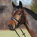 Kieffer Comfort Young Profi pony bridle worn by a bay pony outdoors.