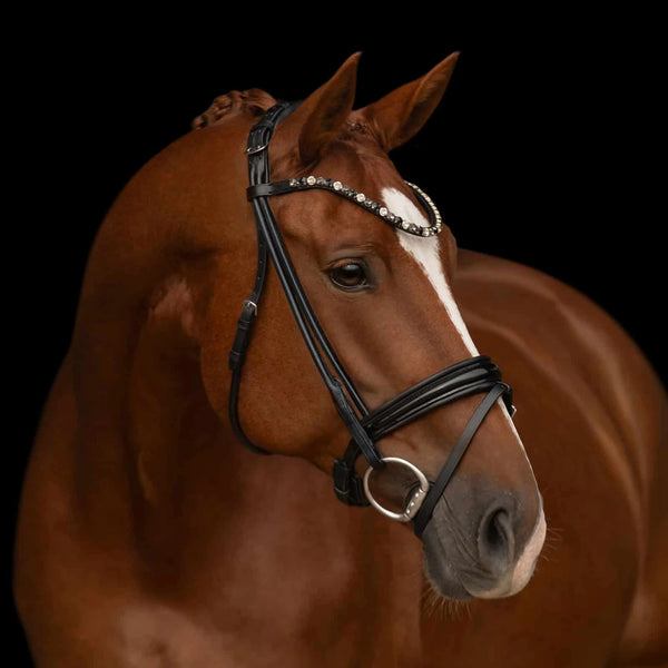Kieffer Elli Snaffle Bridle