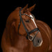Kieffer Elli Snaffle Bridle product photo