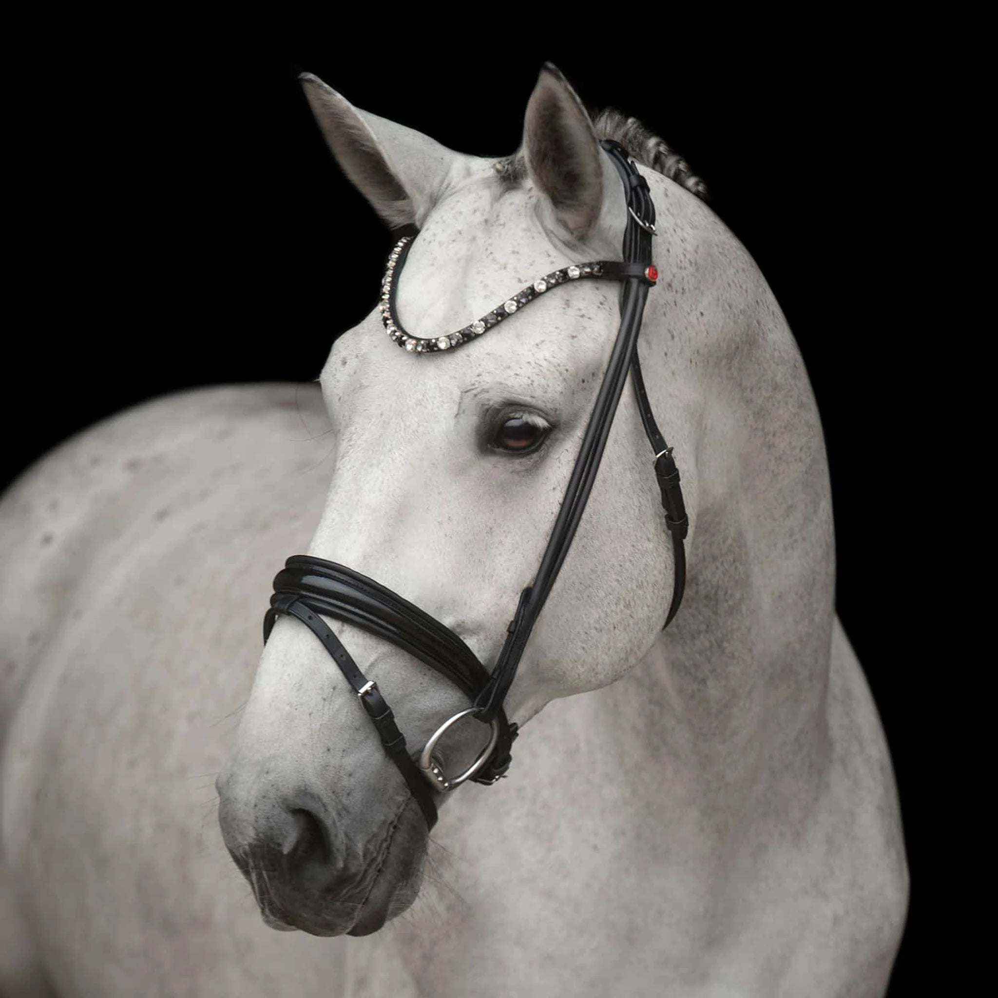 Kieffer Elli Snaffle Bridle product photo