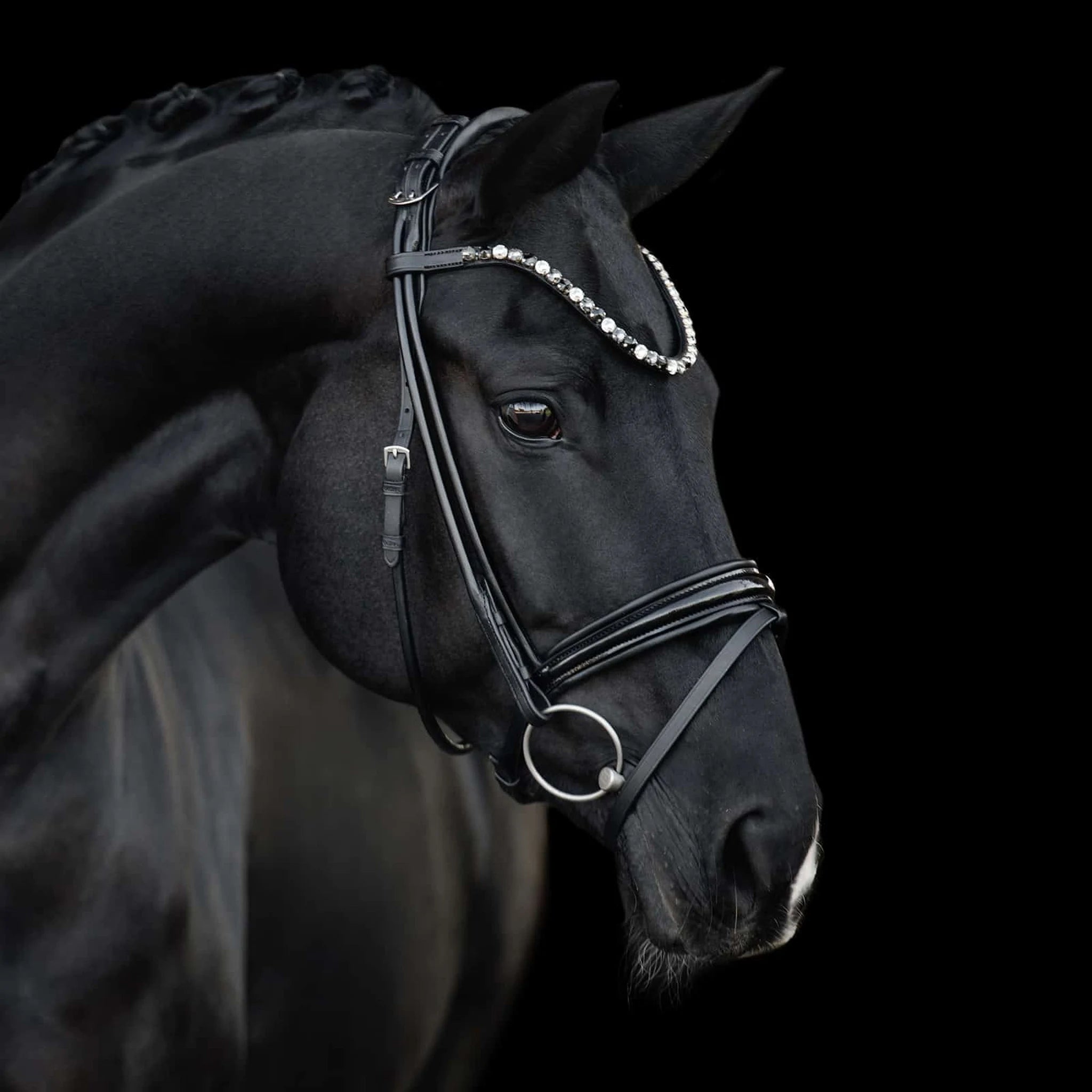 Kieffer Elli Snaffle Bridle product photo