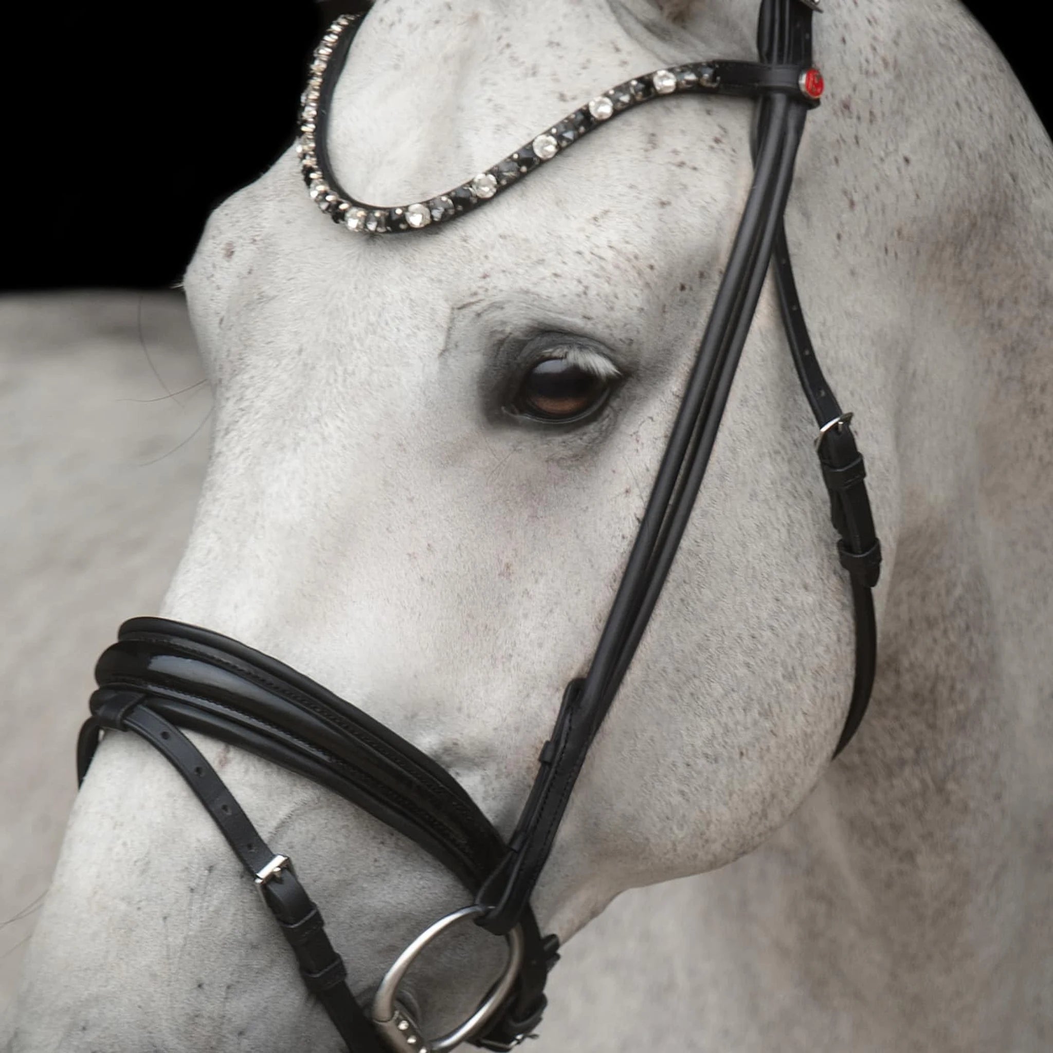 Kieffer Elli Snaffle Bridle product photo