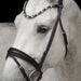 Kieffer Elli Snaffle Bridle product photo