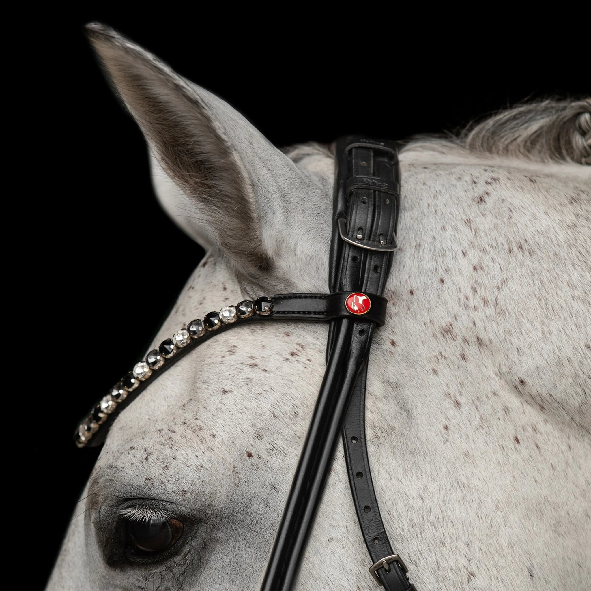 Kieffer Elli Snaffle Bridle product photo
