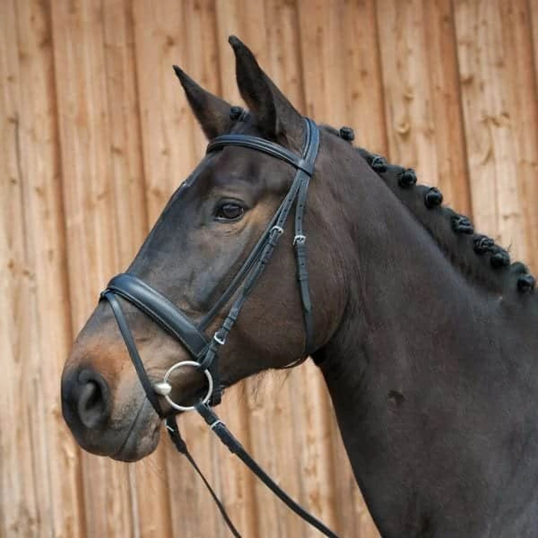 Kieffer Ergonomic Line III Snaffle Bridle product photo