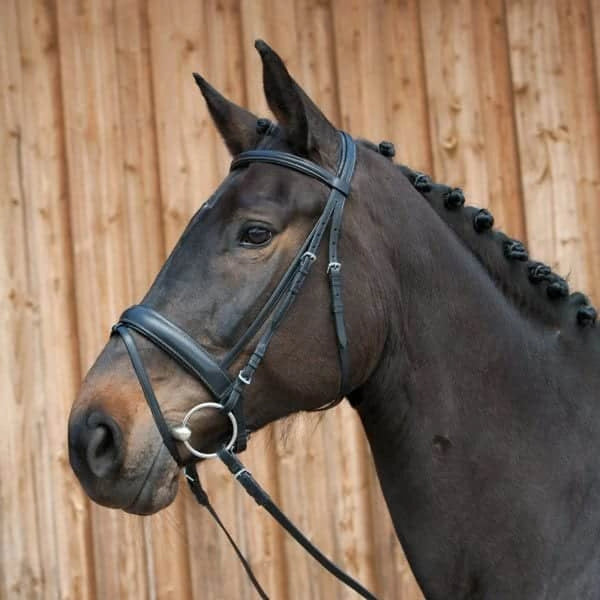 Kieffer Ergonomic Line III Snaffle Bridle