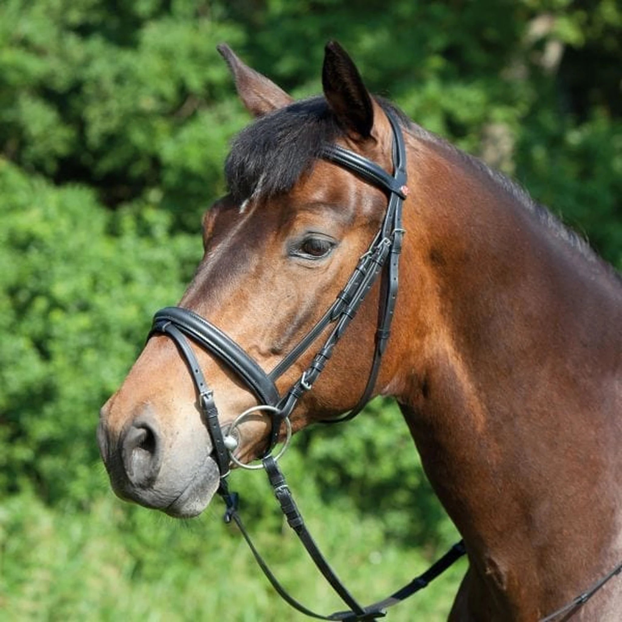 Kieffer Ergonomic Line Snaffle Bridle product photo