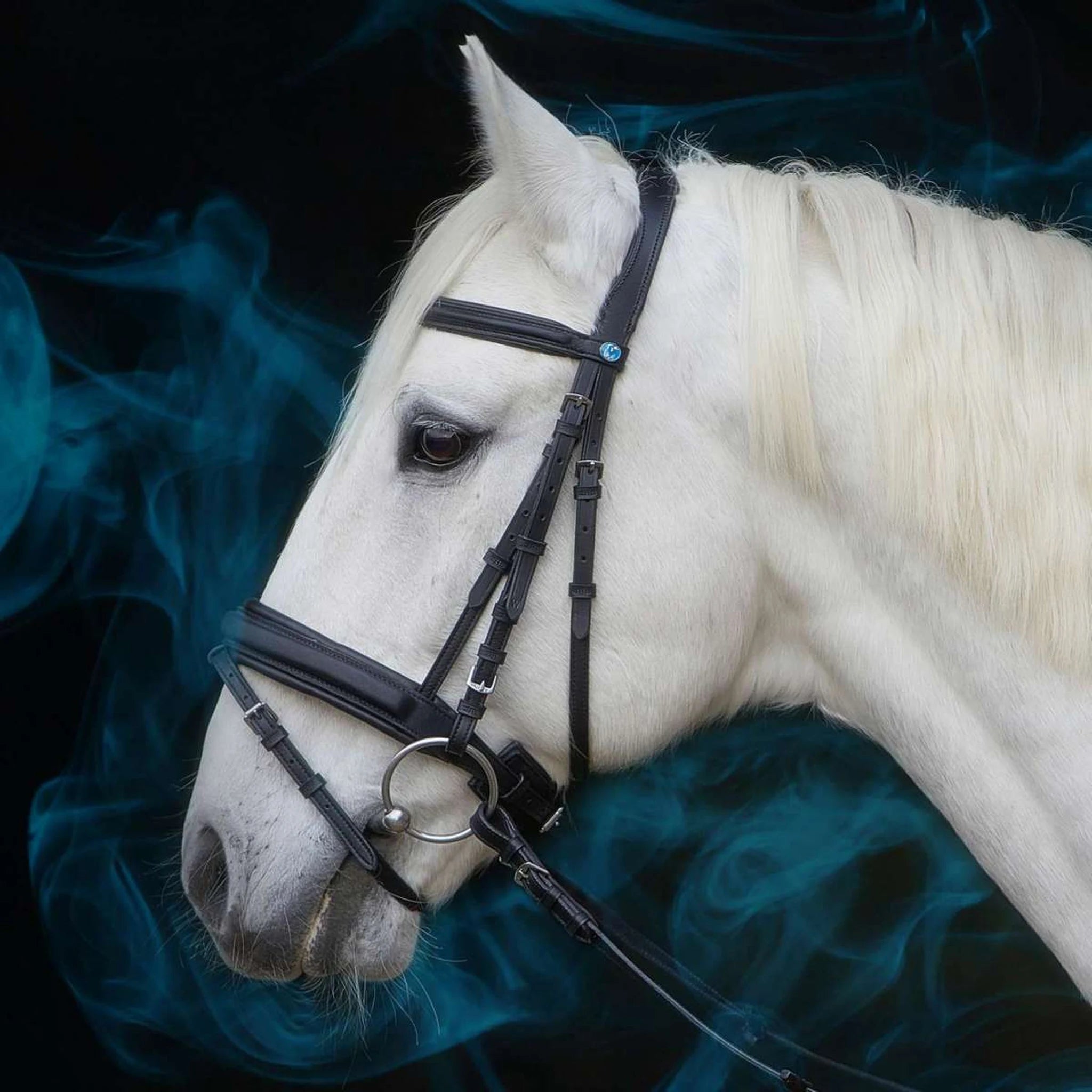 Kieffer Essentials Lara Snaffle Bridle product photo