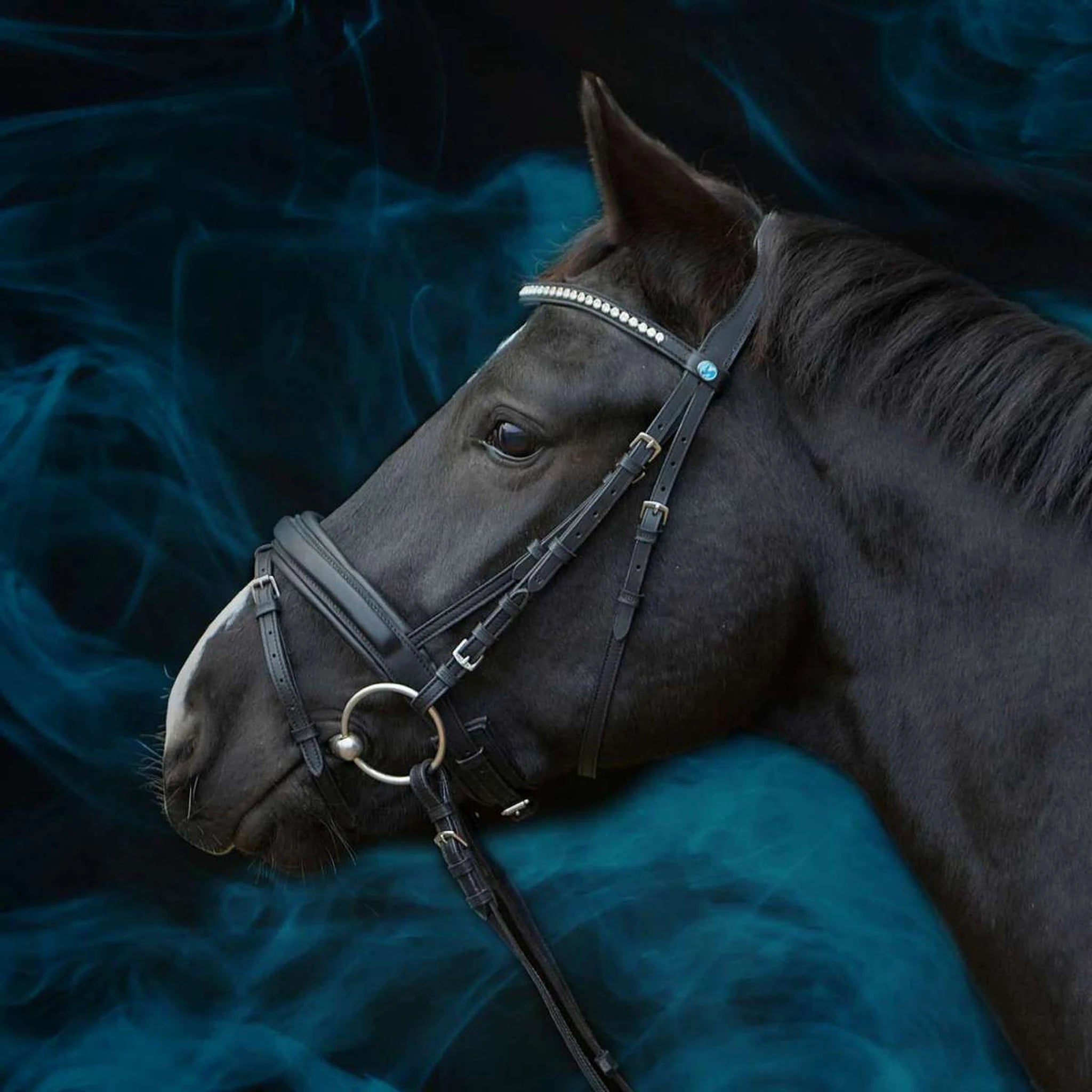 Kieffer Essentials Lara Snaffle Bridle product photo