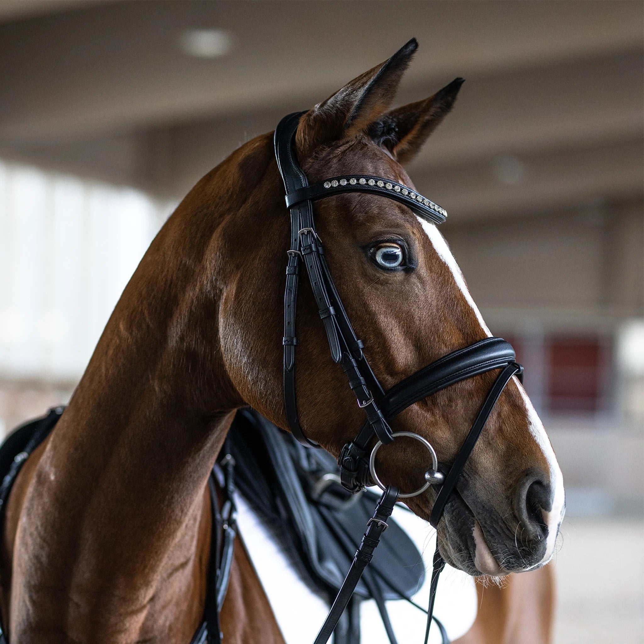 Kieffer Essentials Xia Snaffle Bridle product photo