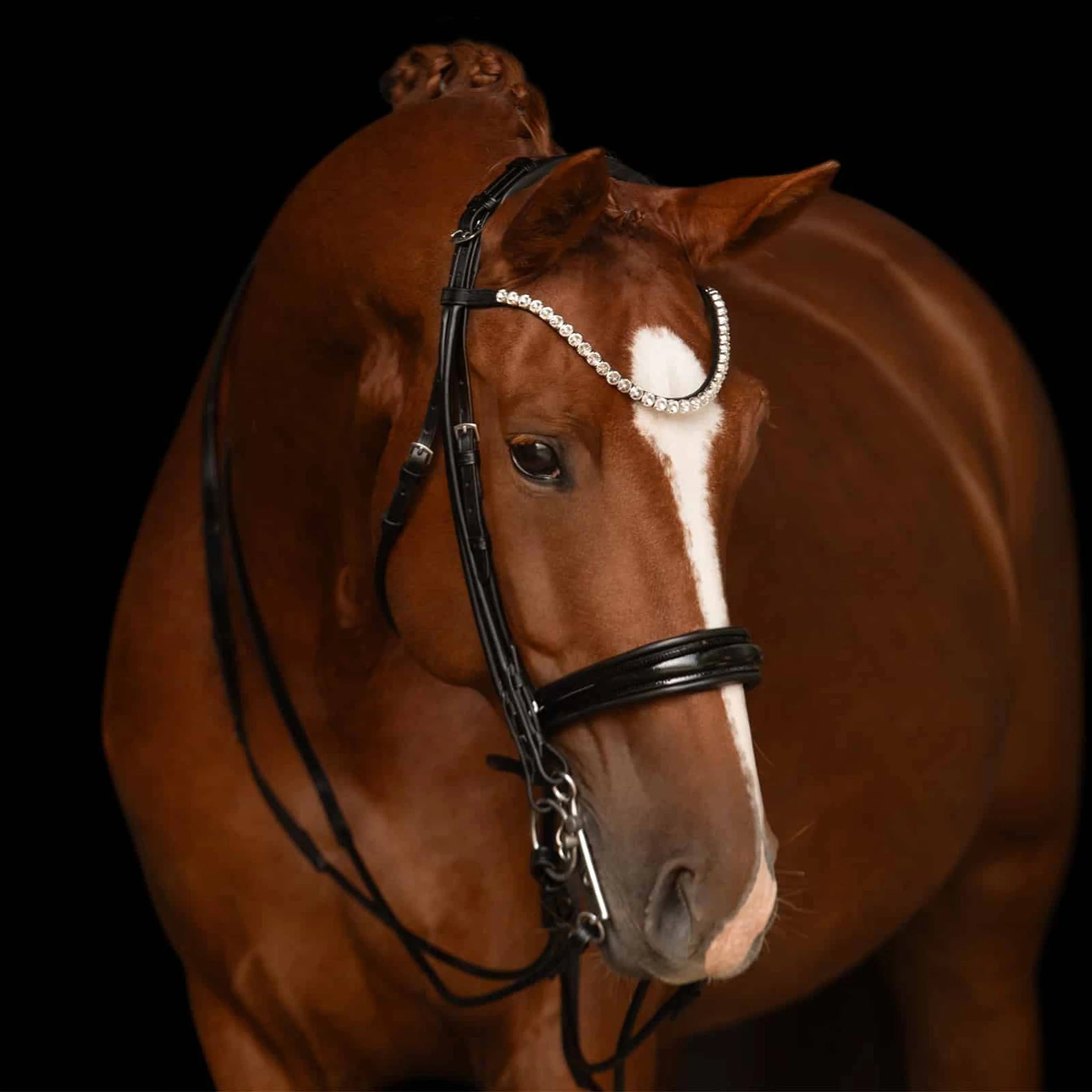 Kieffer Faye Double Bridle product photo