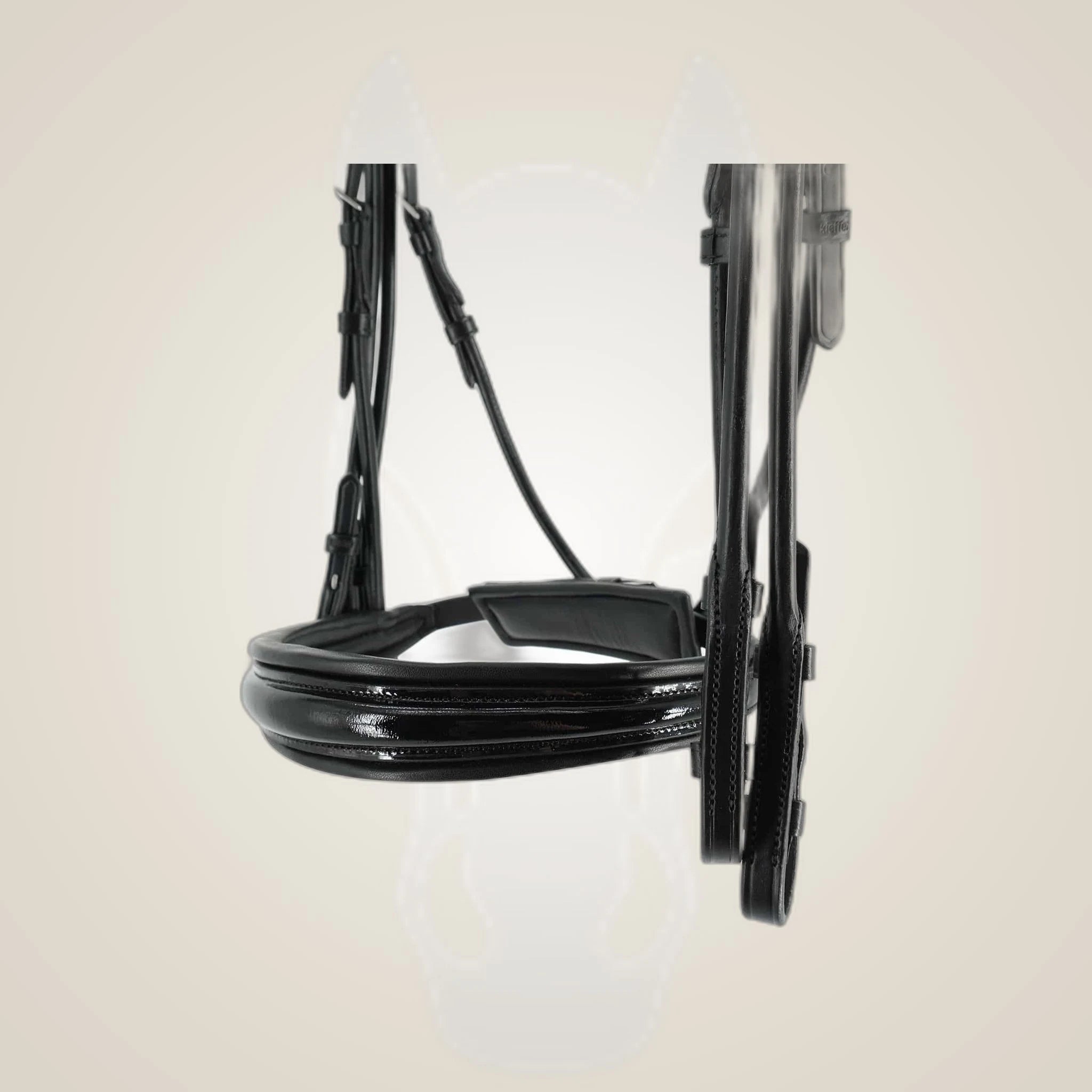 Kieffer Faye Double Bridle on One-Eyed Equine branded background