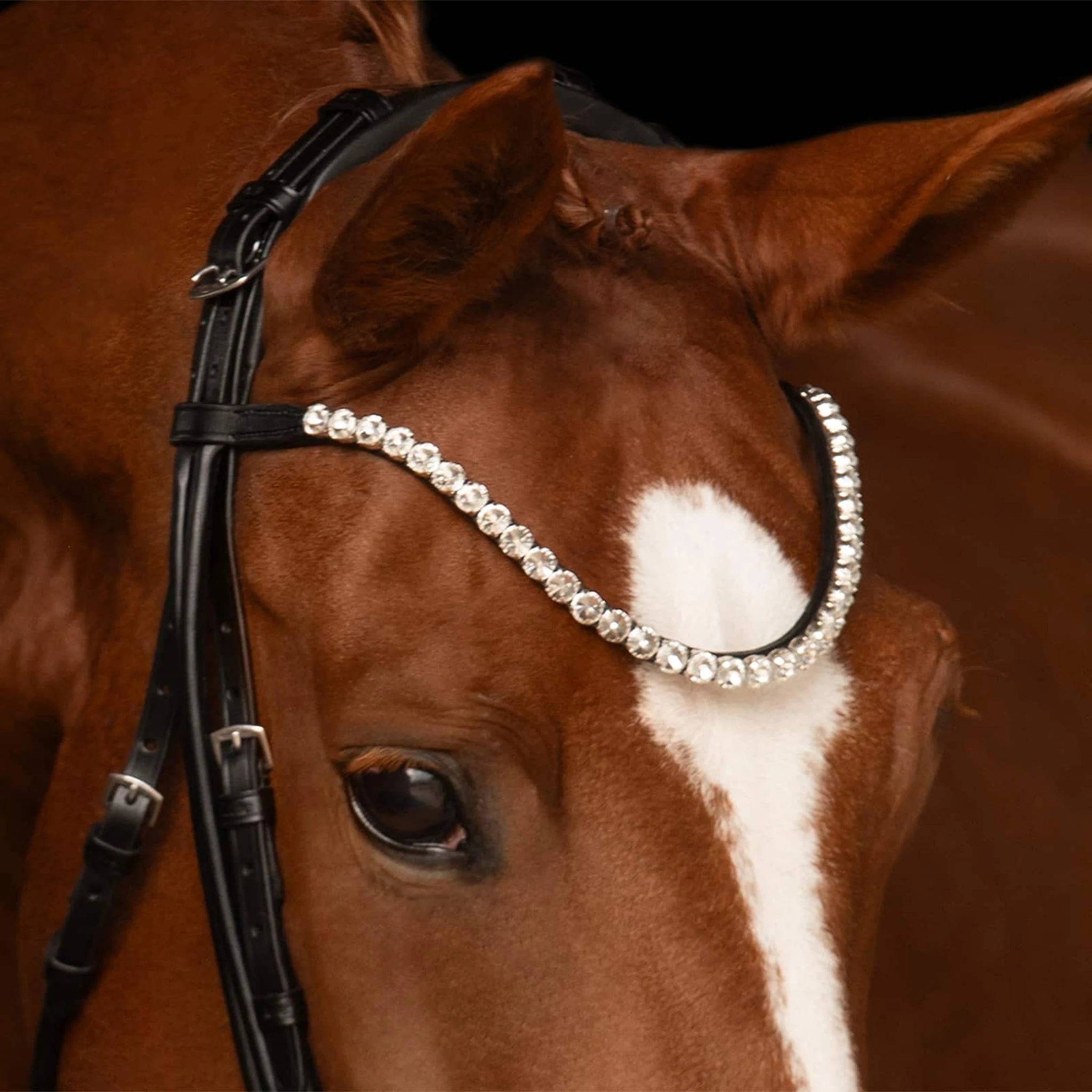 Kieffer Faye Double Bridle product photo