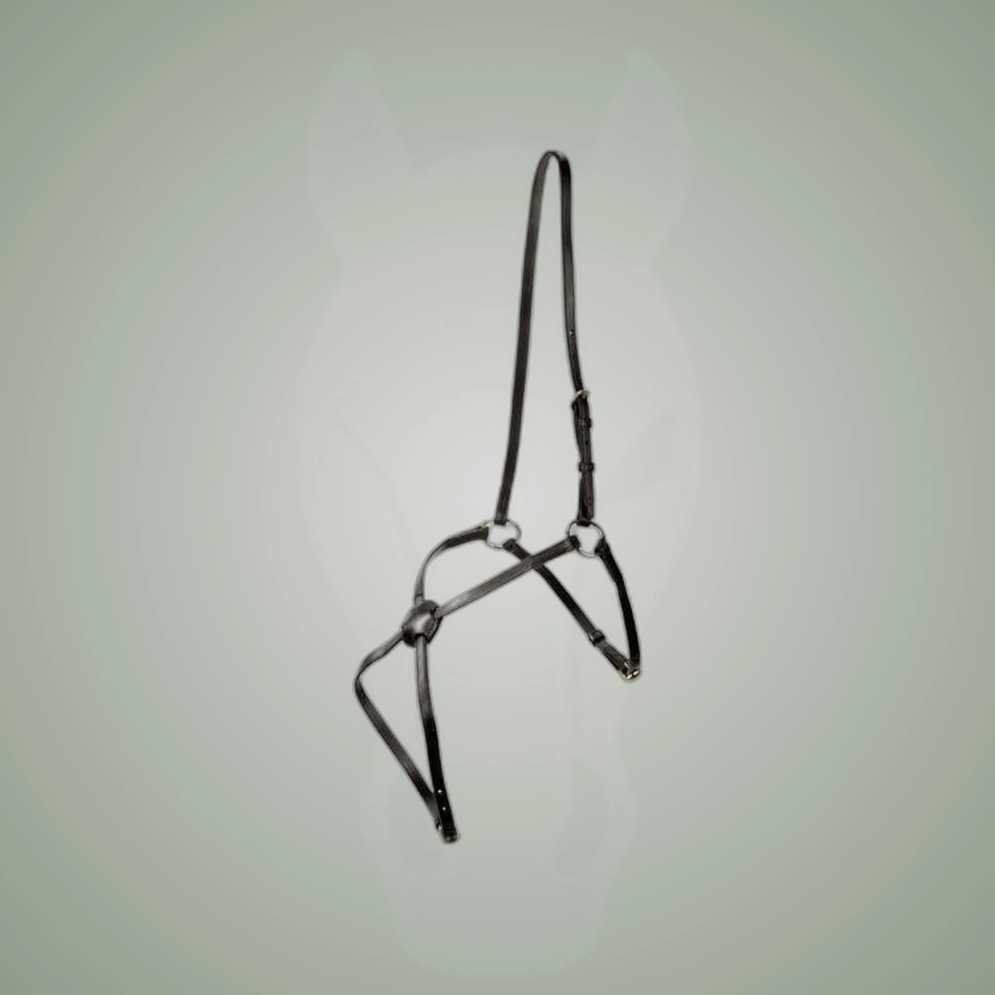 Kieffer Figure 8/Grackle Noseband on One-Eyed Equine branded background