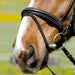 Kieffer Flash Noseband with Chinpad (Comfort I) product photo