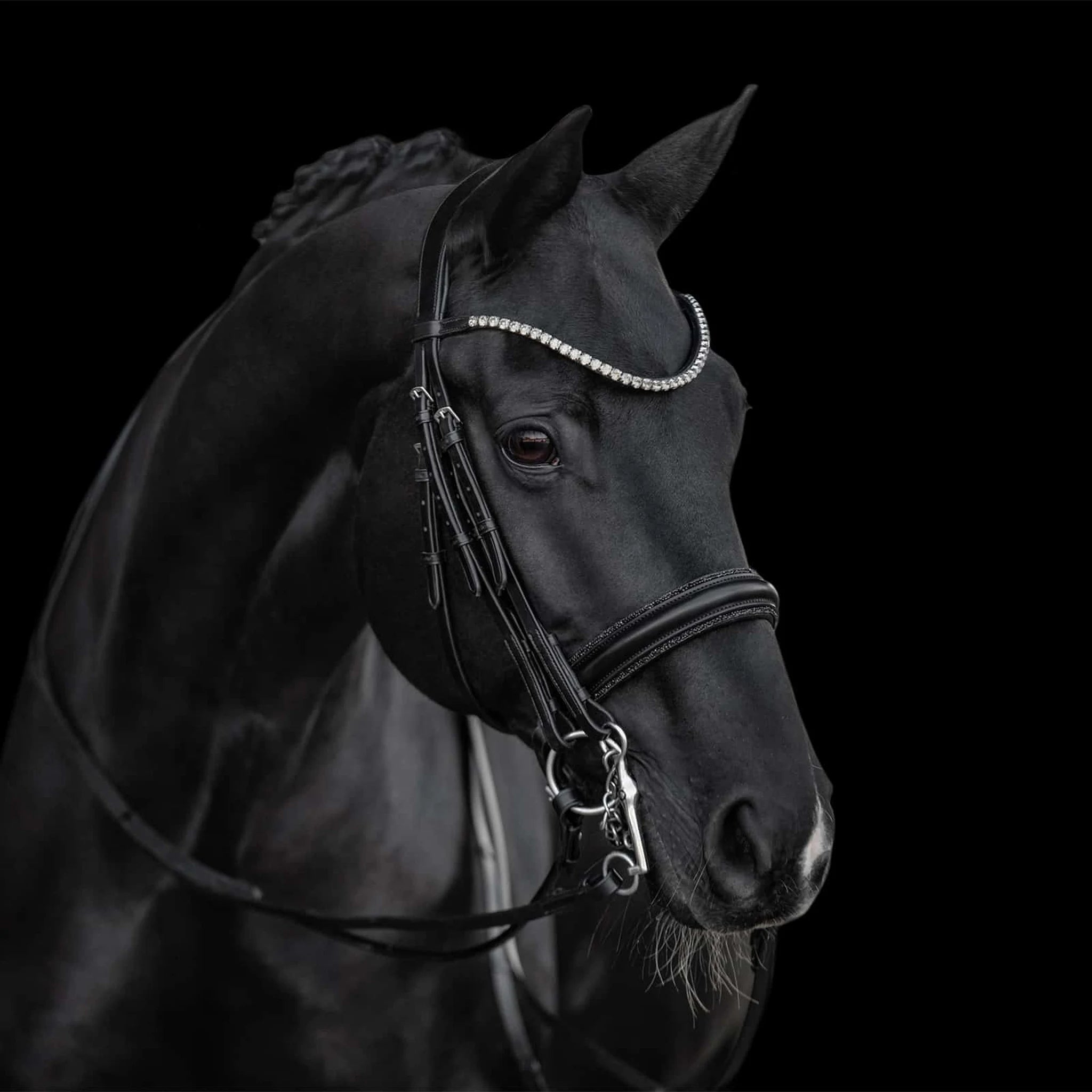 Kieffer Grace Double Bridle product photo
