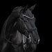 Kieffer Grace Double Bridle product photo