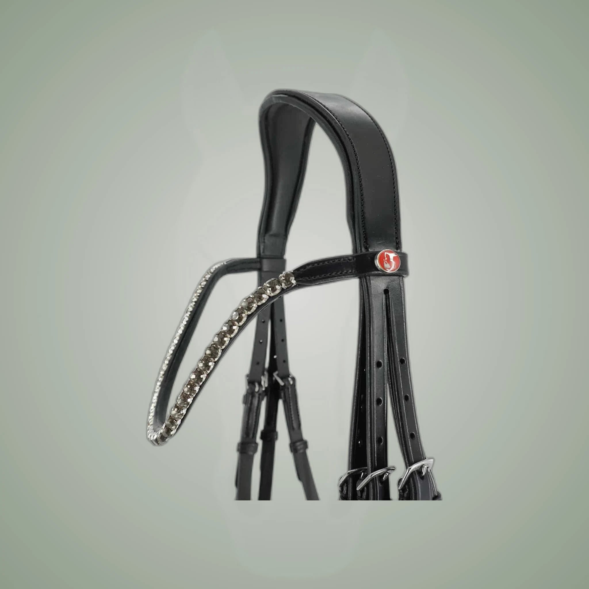Kieffer Grace Double Bridle on One-Eyed Equine branded background