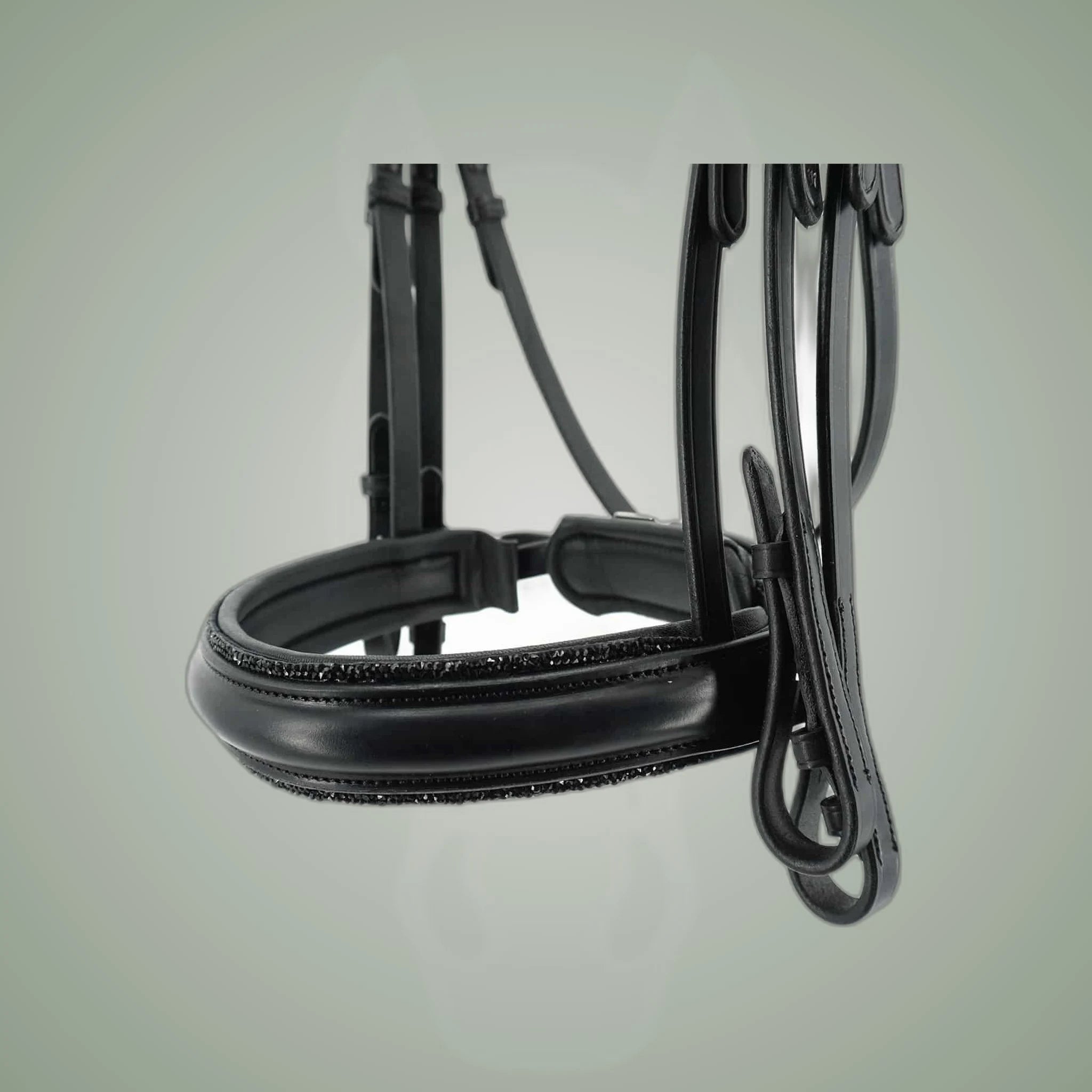 Kieffer Grace Double Bridle on One-Eyed Equine branded background
