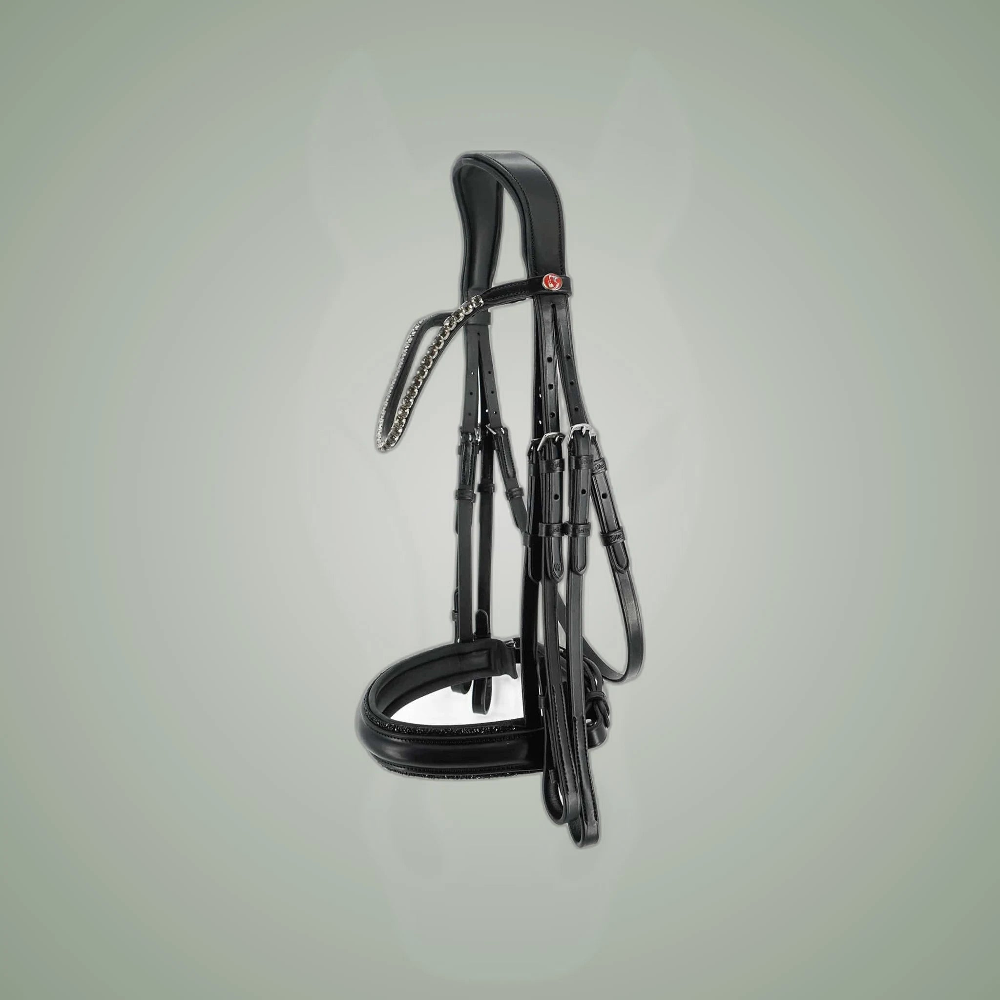 Kieffer Grace Double Bridle on One-Eyed Equine branded background