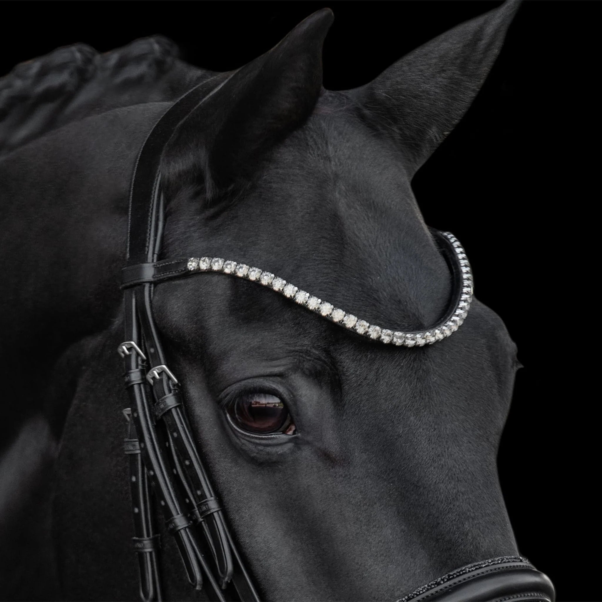 Kieffer Grace Double Bridle product photo