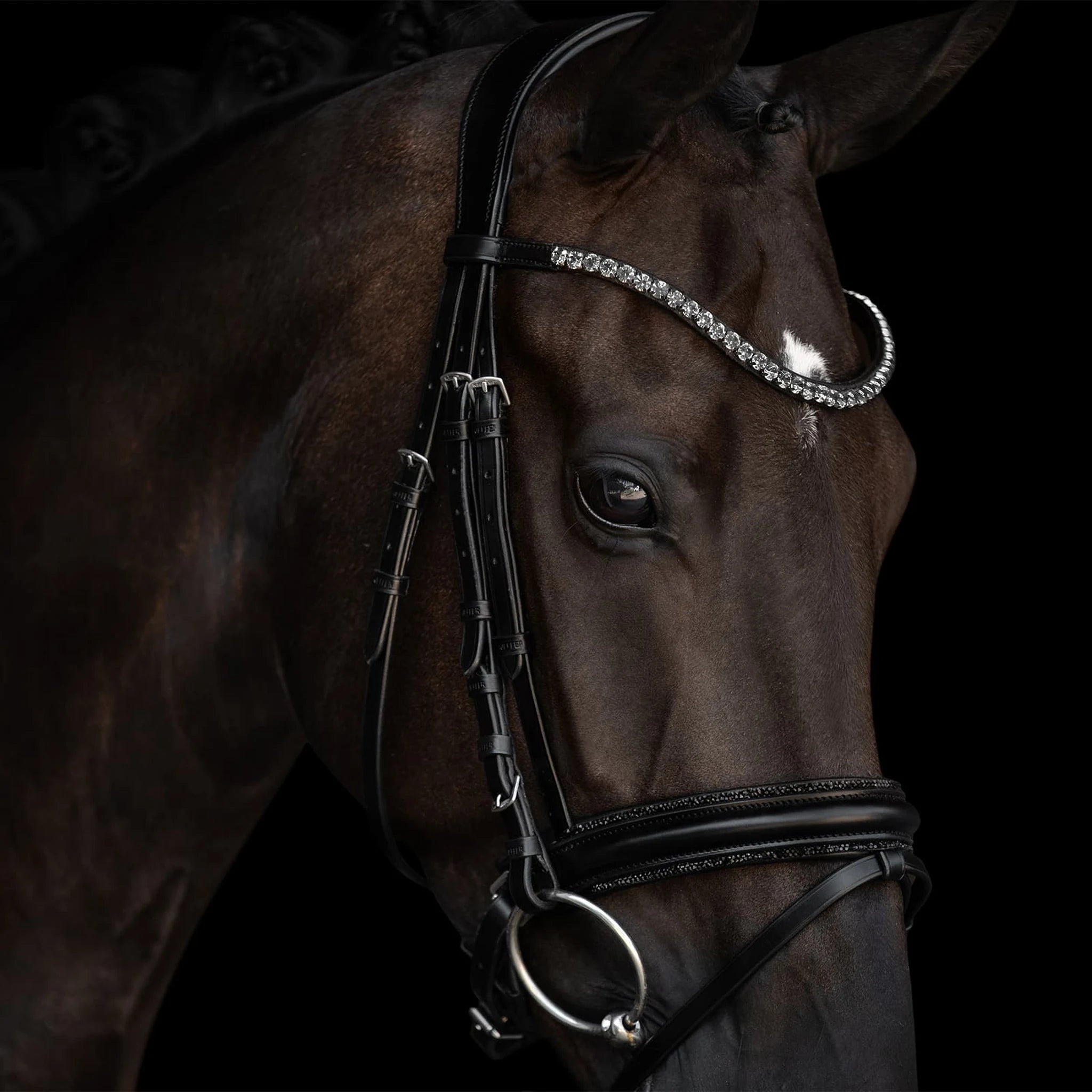 Kieffer Grace Snaffle Bridle product photo