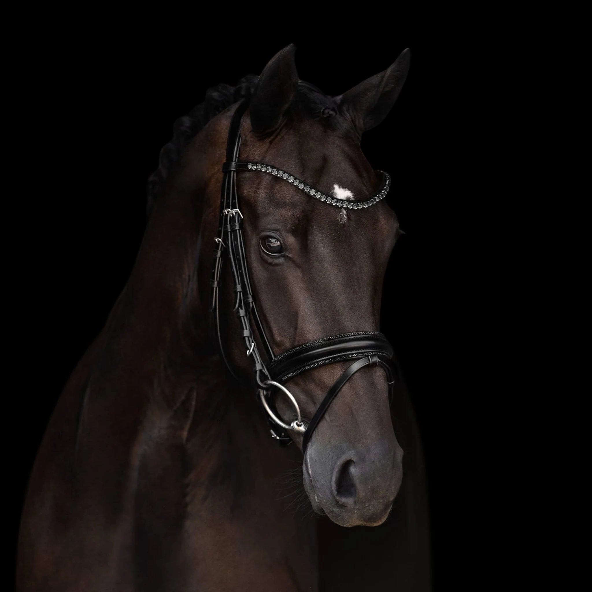 Kieffer Grace Snaffle Bridle product photo