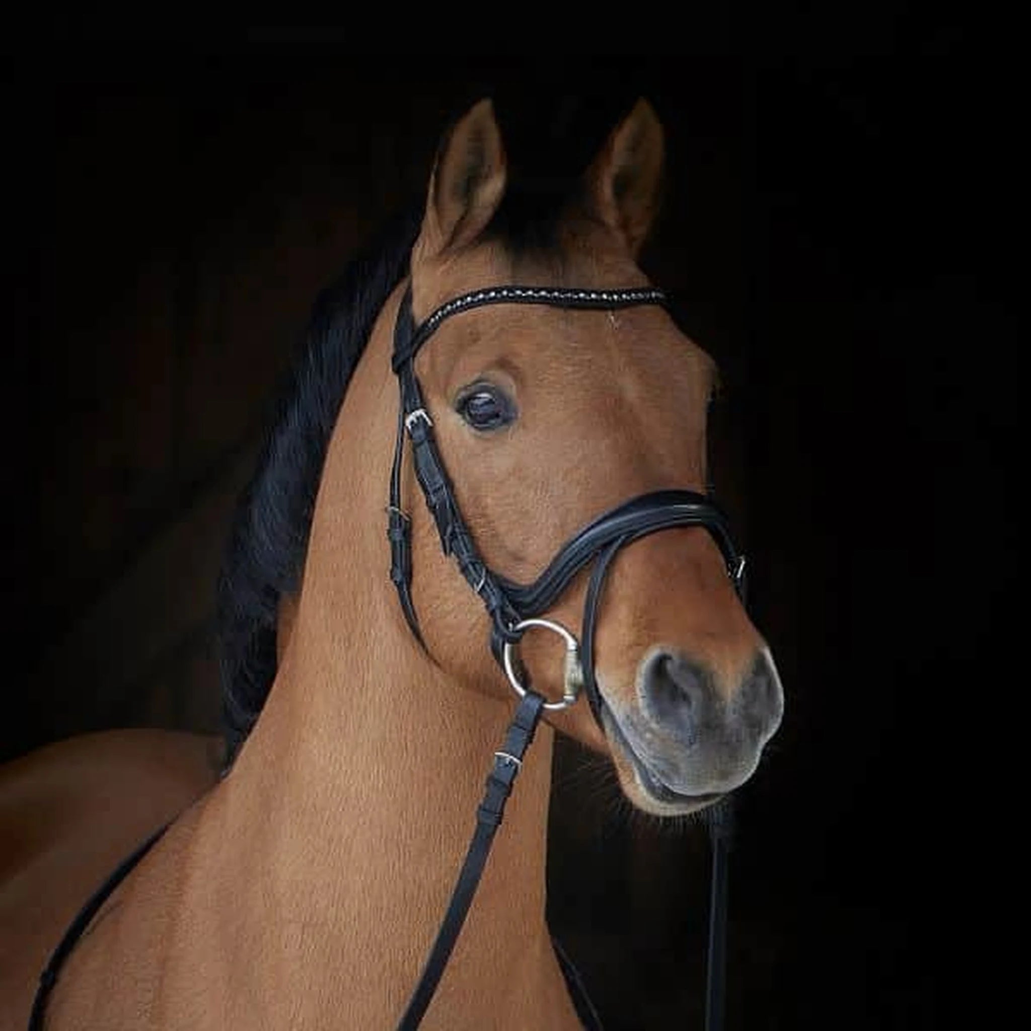 Kieffer Ilona Arabian Snaffle Bridle product photo