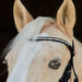 Kieffer Ilona Arabian Snaffle Bridle product photo