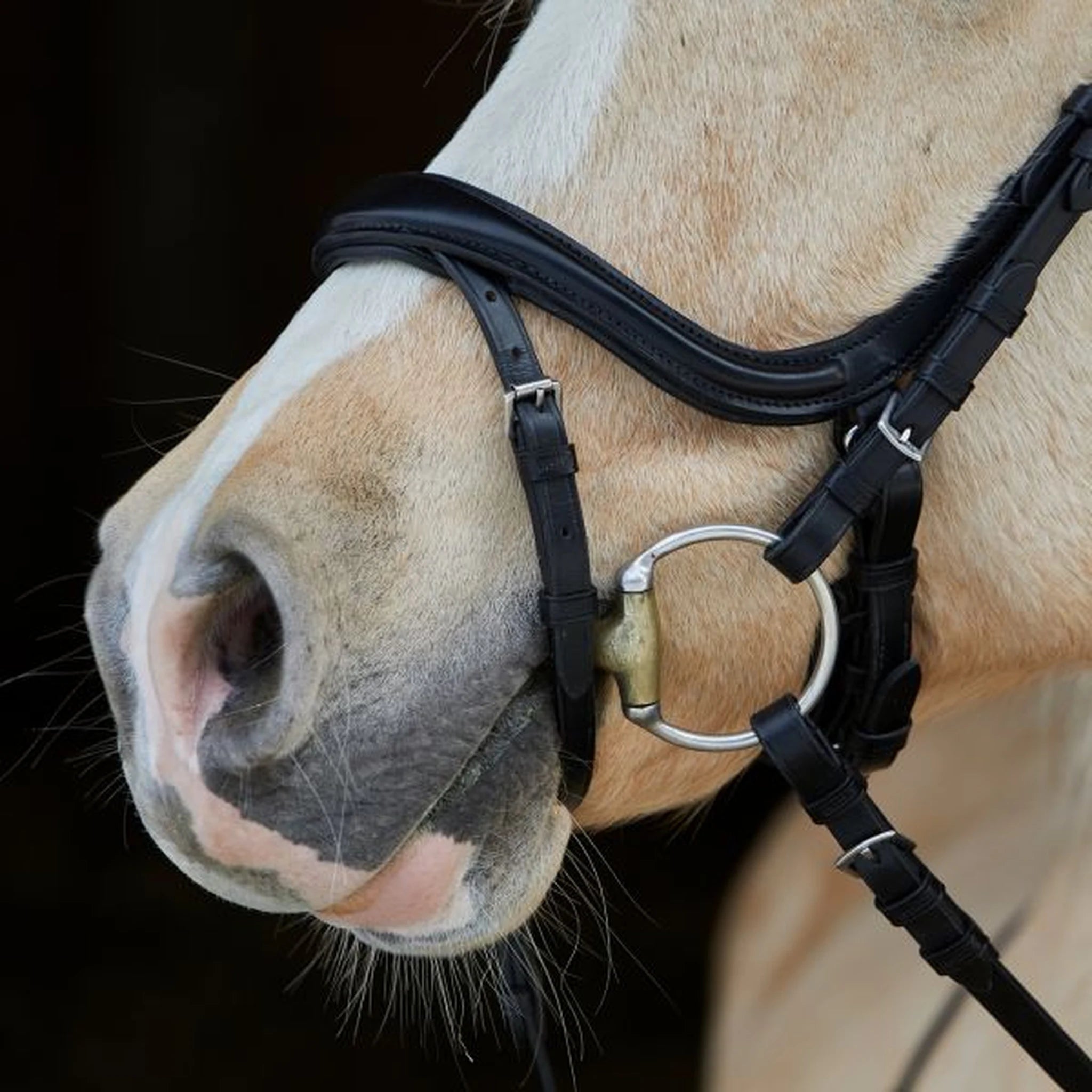 Kieffer Ilona Arabian Snaffle Bridle product photo