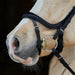 Kieffer Ilona Arabian Snaffle Bridle product photo
