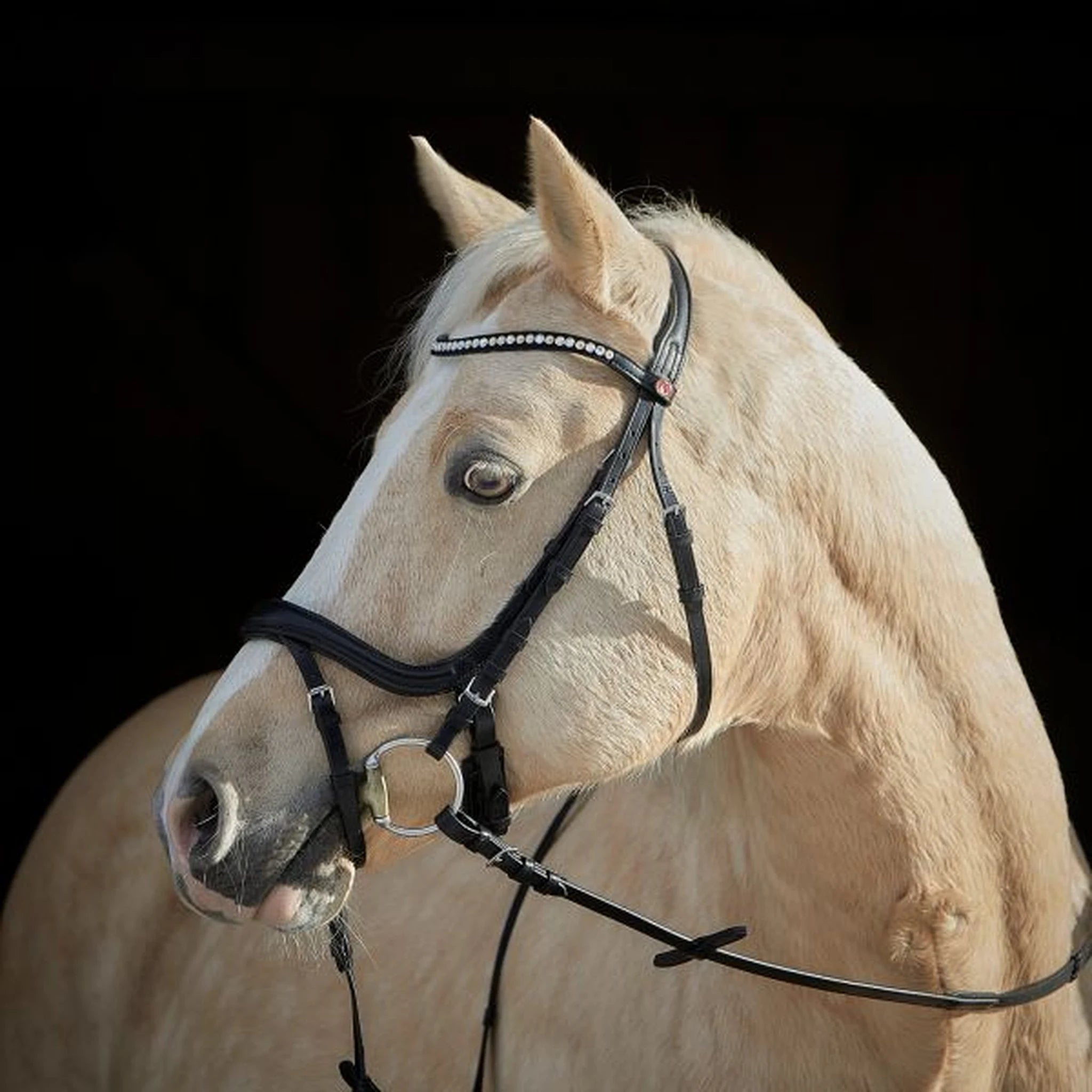Kieffer Ilona Arabian Snaffle Bridle product photo
