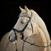 Kieffer Ilona Arabian Snaffle Bridle product photo
