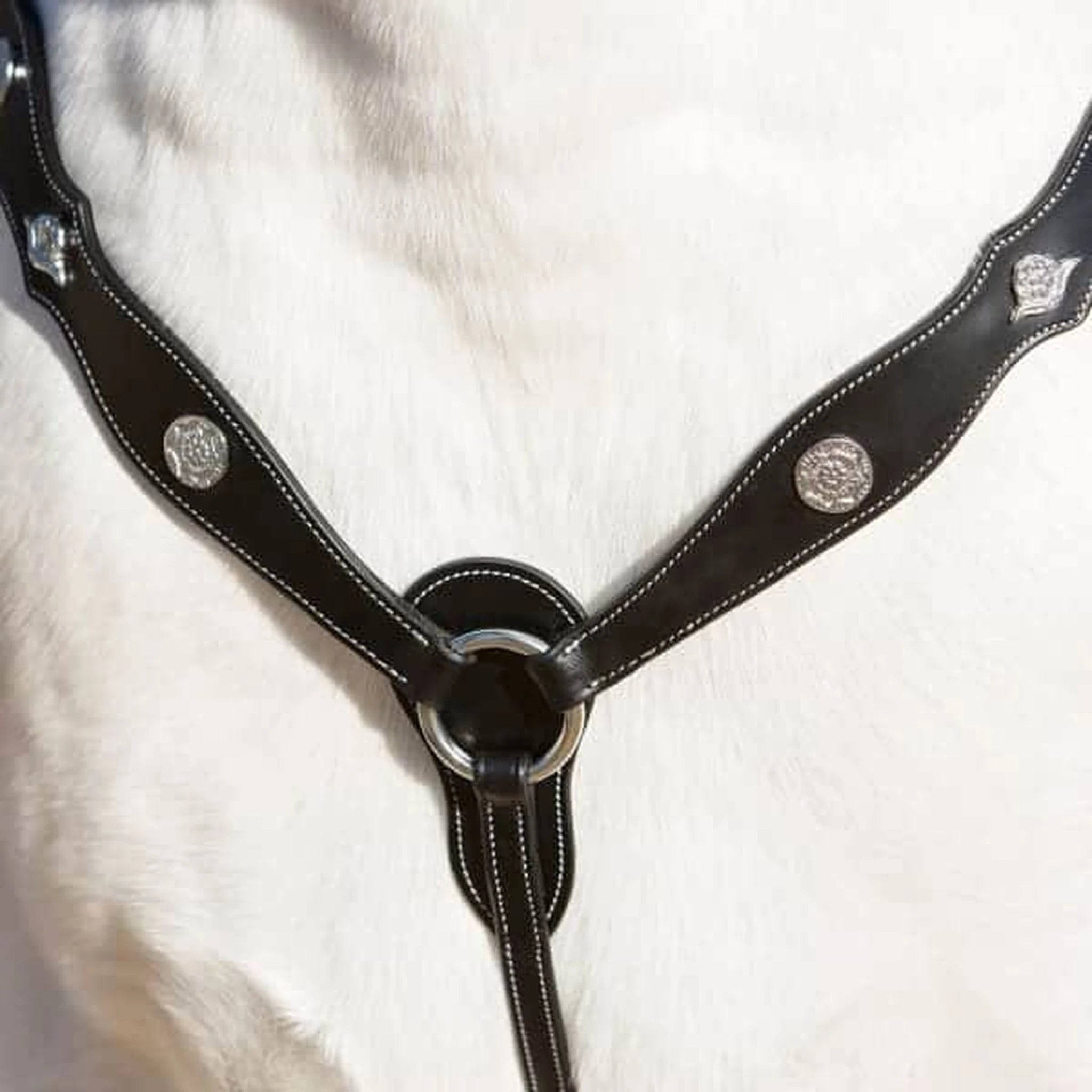 Kieffer Isabella breastplate in black leather fitted across a horse's chest.
