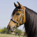 Kieffer Isabella Spanish Snaffle Bridle product photo