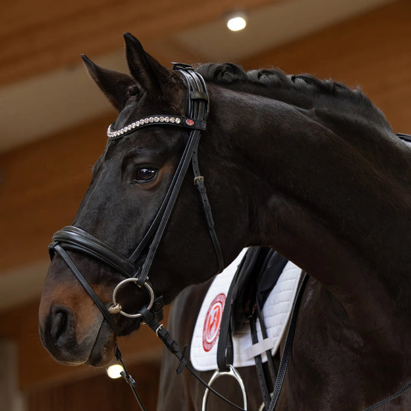 Kieffer Lina Snaffle Bridle