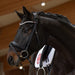 Kieffer Lina Snaffle Bridle product photo
