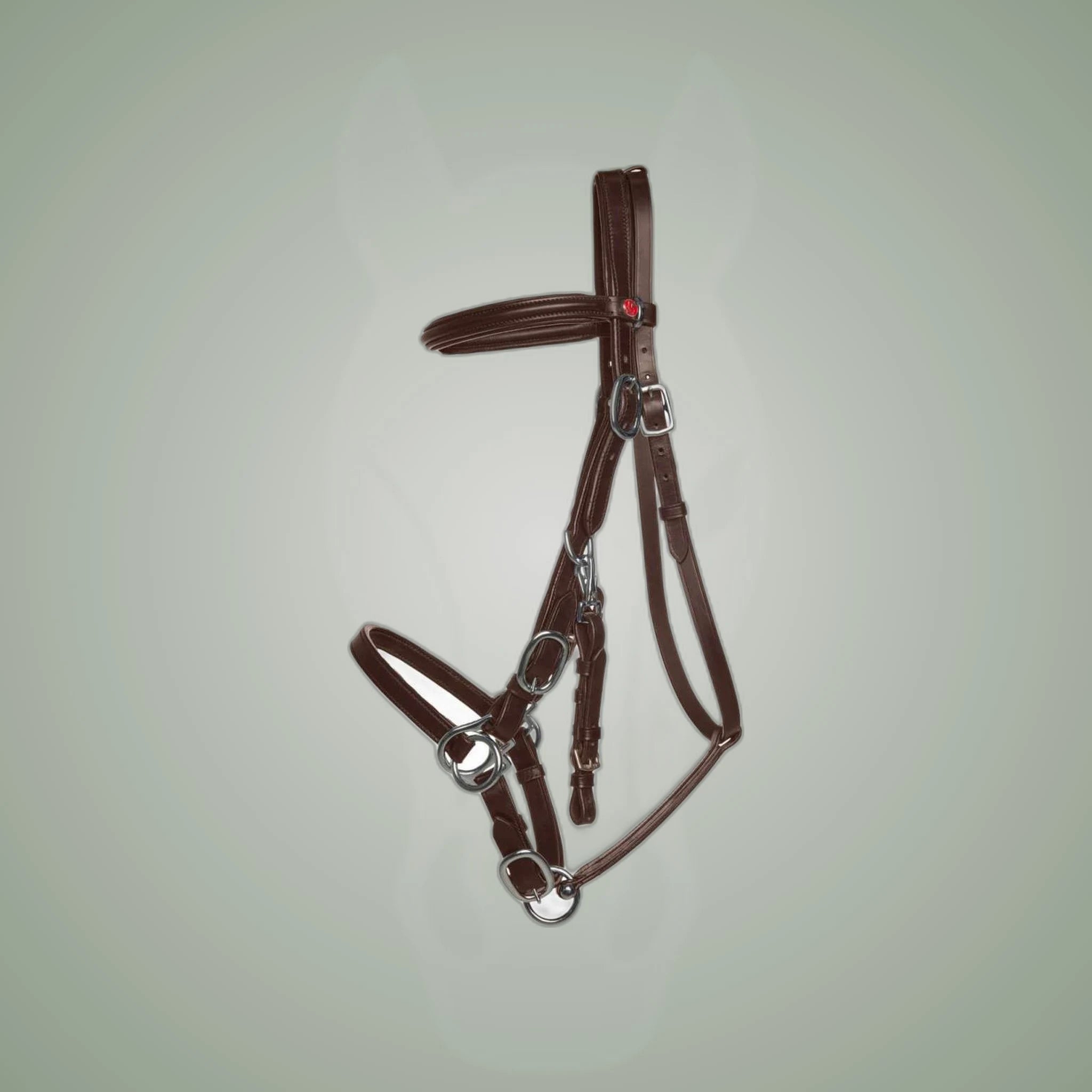 Kieffer LK-Kombi Bridle