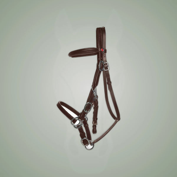 Kieffer LK-Kombi Bridle