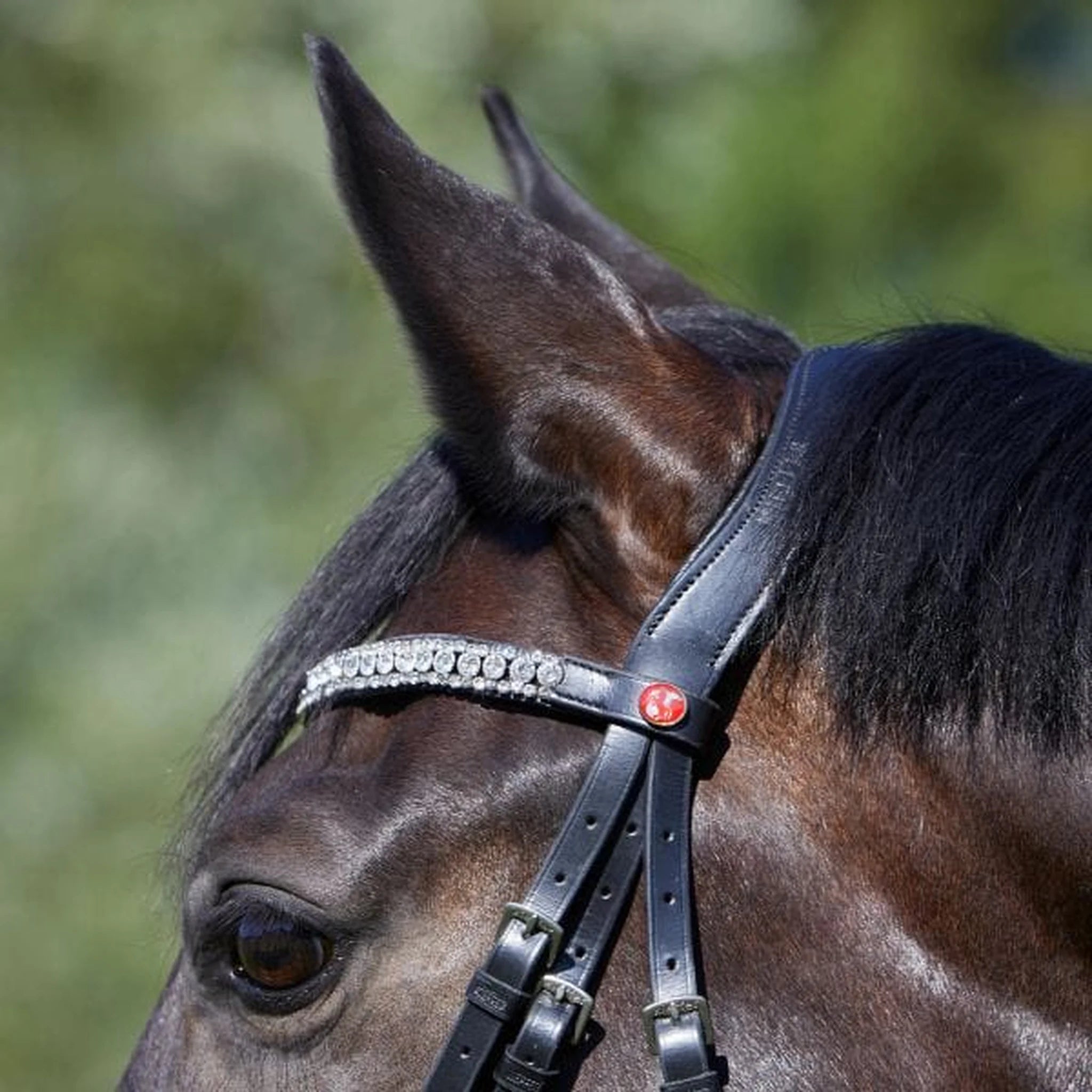 Kieffer Luisa Snaffle Bridle product photo