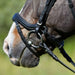 Kieffer Luisa Snaffle Bridle product photo