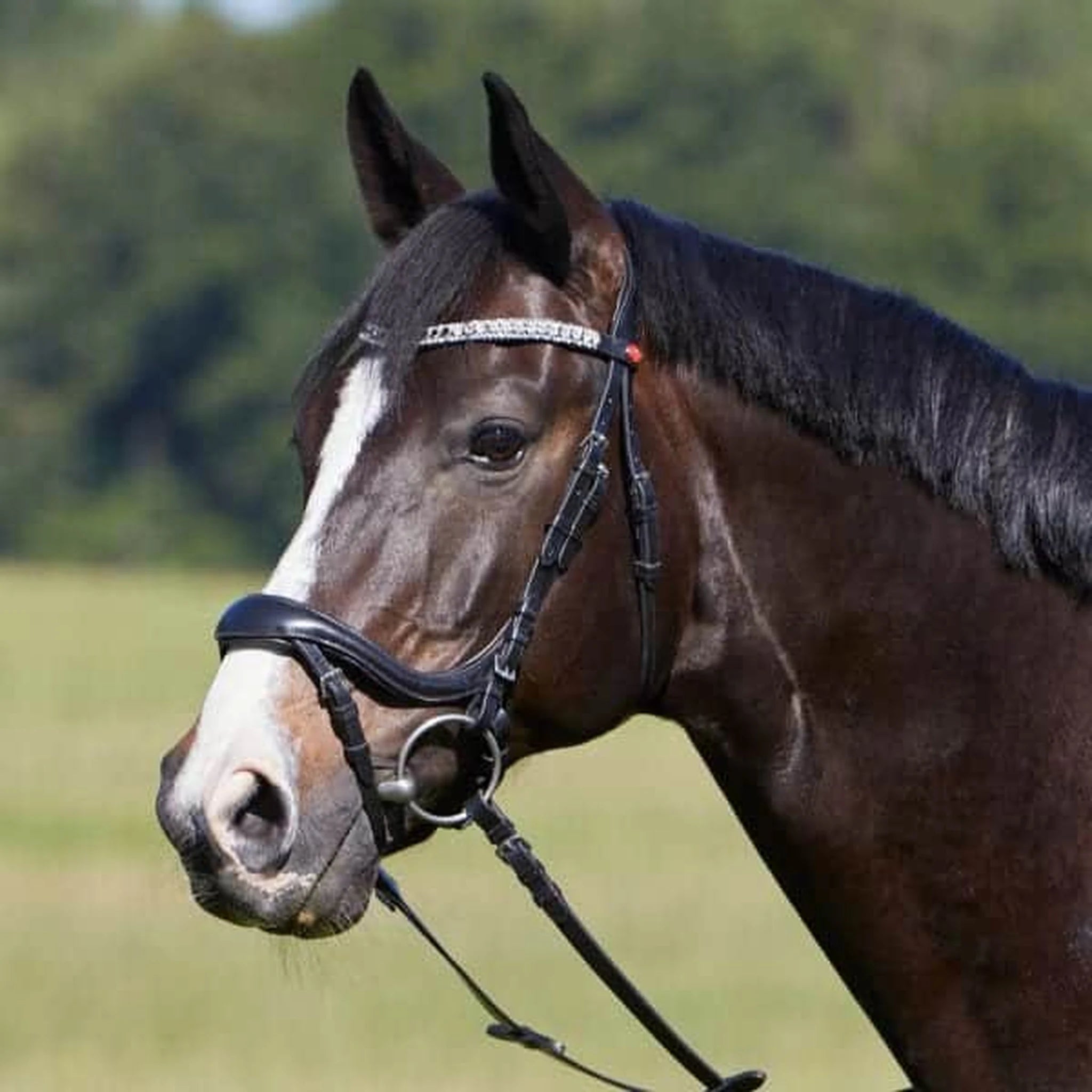 Kieffer Luisa Snaffle Bridle product photo