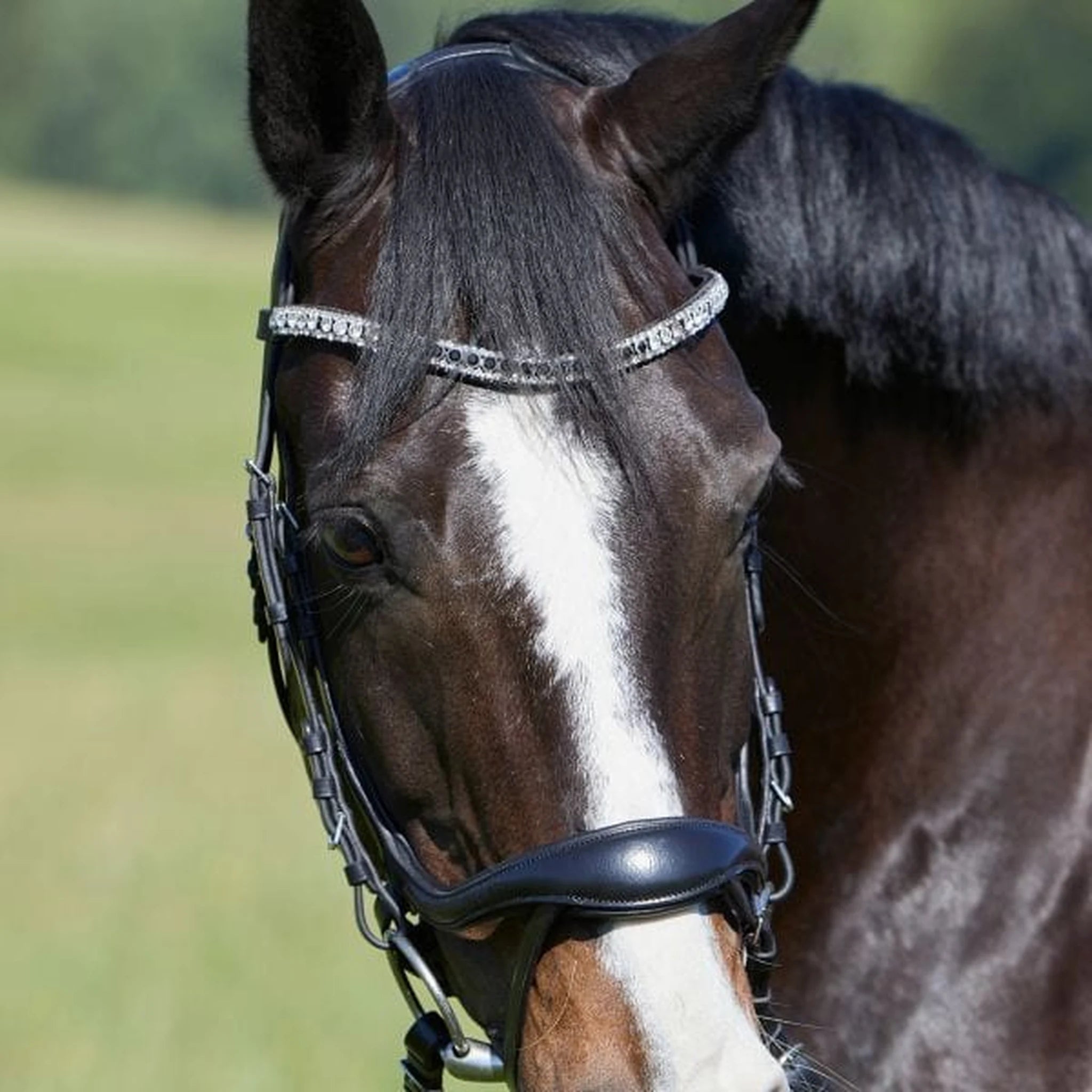 Kieffer Luisa Snaffle Bridle product photo