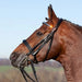 Kieffer Magic Tack double bridle worn by a chestnut horse outdoors.